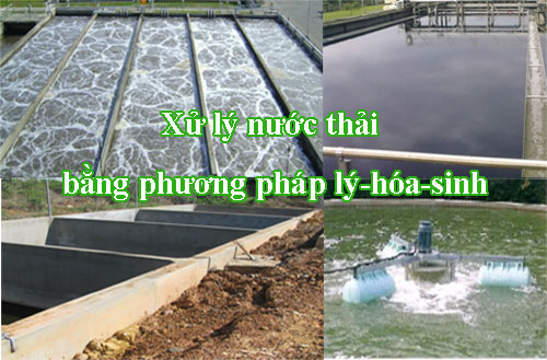 xu ly nuoc thai bang phuong phap ly hoa sinh\